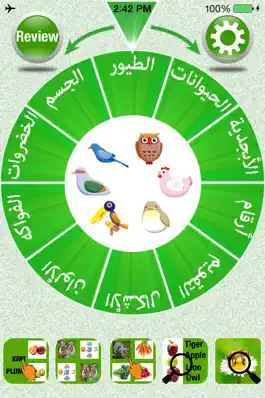 Game screenshot FlashCards Arabic Lesson mod apk