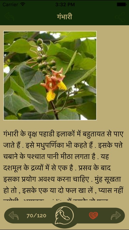 Hindi Ayurvedic Natural herb & Herbal Medicine screenshot-3