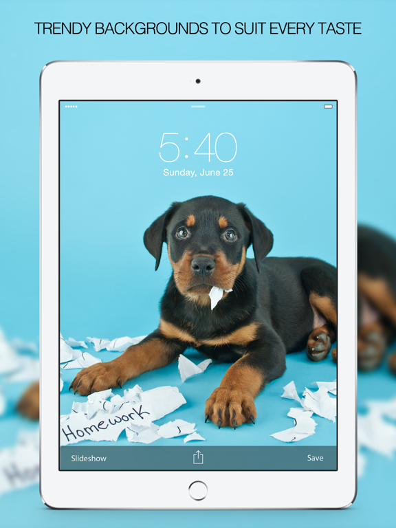Puppy Wallpapers – Cute Puppy Pictures & Images iPad screenshot 4 - Lifestyle app