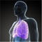 Cardiopulmonary Anatomy:Physiology and Respiratory Care