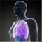 This is the all-inclusive App to Self Learn and understand Cardiopulmonary Anatomy
