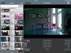 SentryPODS iPad image 3