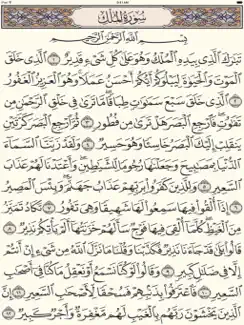 القرآن الكريم - مصحف المدينة iPad image 1