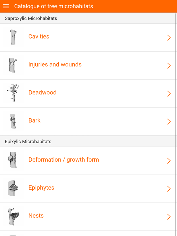 Screenshot #4 pour I+ TreMs App