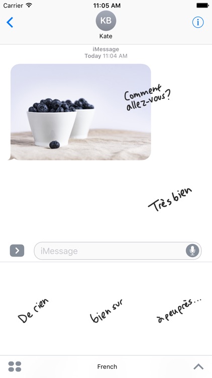 French sticker pack - text stickers for iMessage