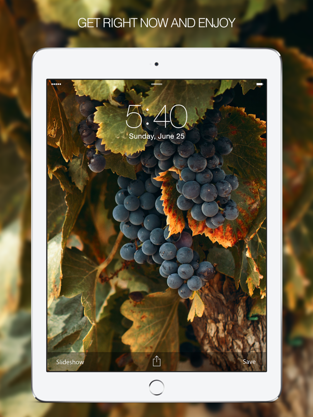 ‎Fruit Wallpapers – Apple Wallpaper & Fruit Gallery Screenshot