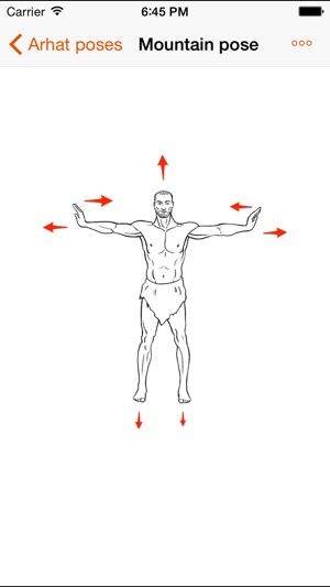 Arhat poses(圖3)-速報App
