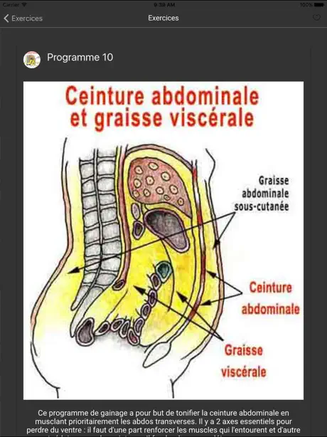 Activité sportive