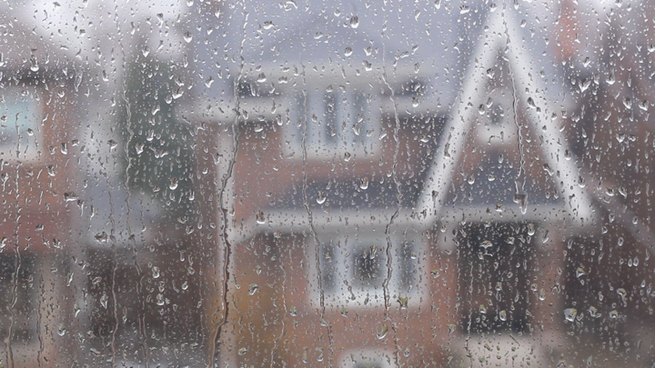 Screenshot #2 pour Rainy Day TV
