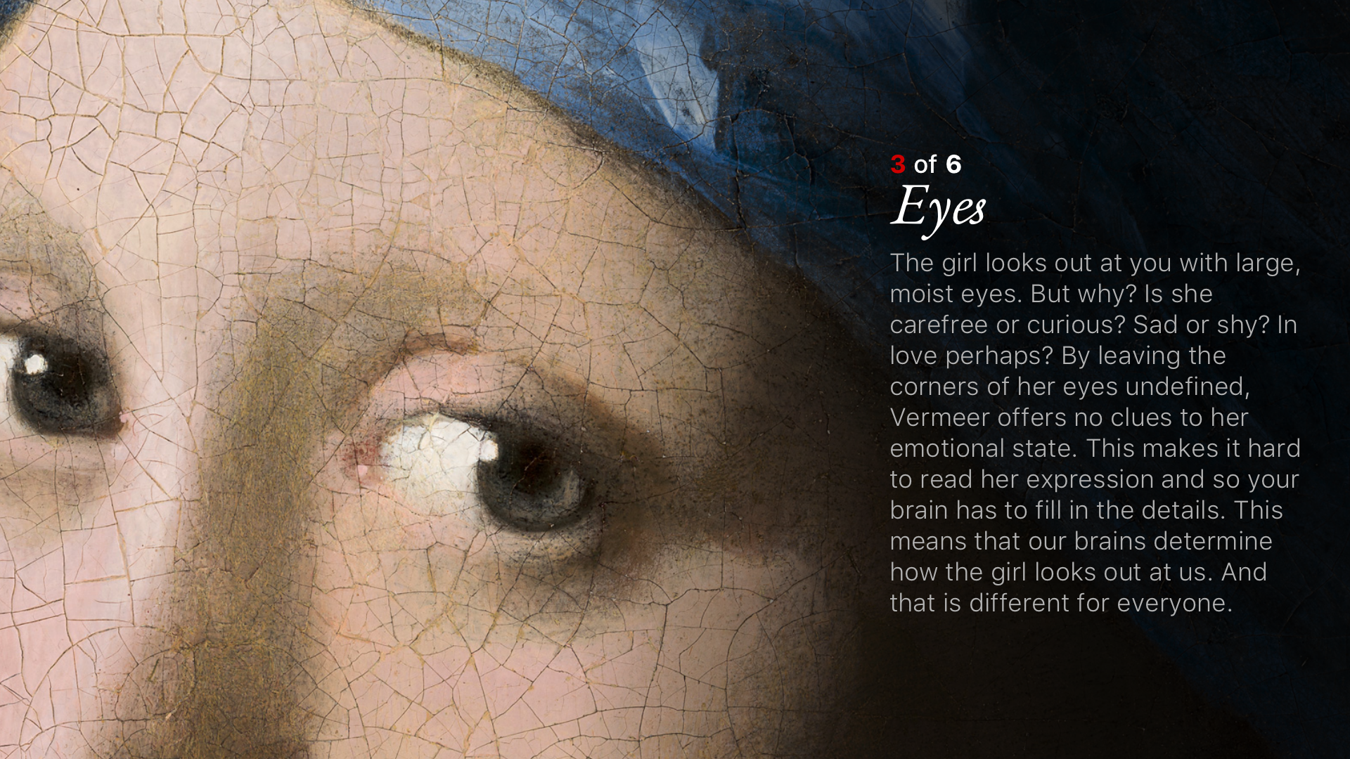 Second Canvas Mauritshuis screenshot 14
