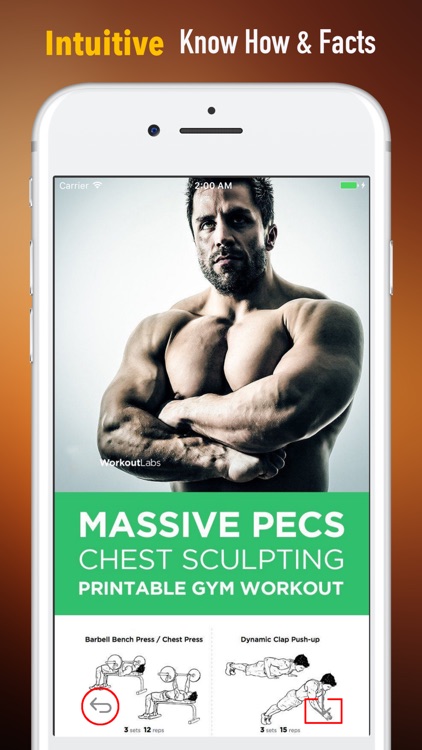 The Science of Male Body-Bigger Leaner Stronger