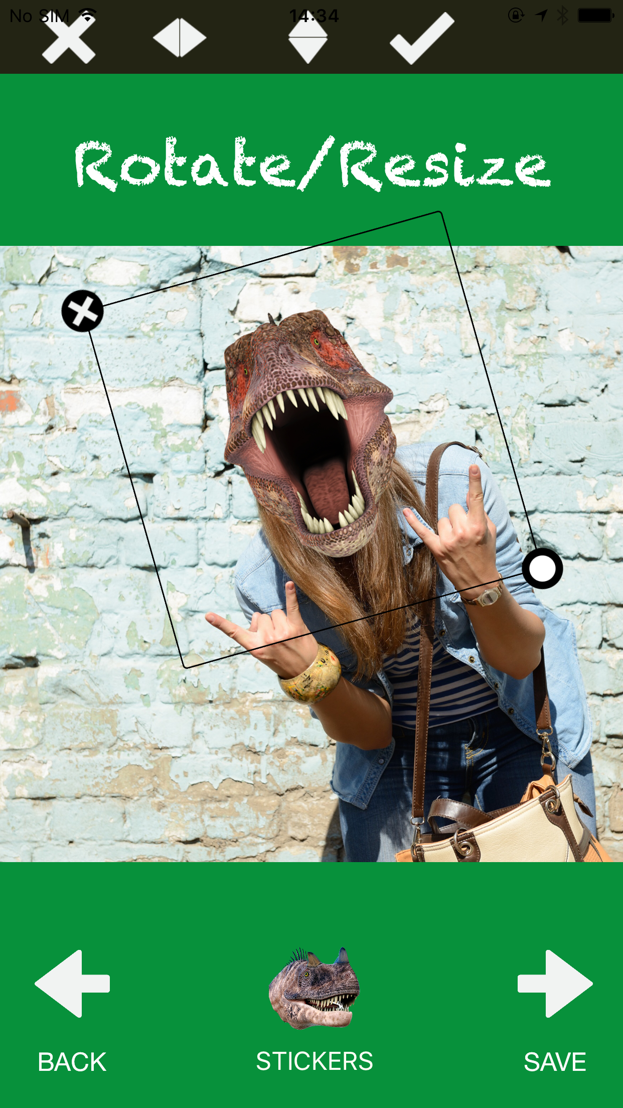 Dinoface - dinosaur photo booth screenshot 2