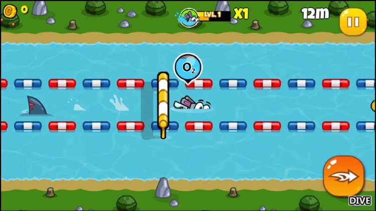 Forest games-start exercise