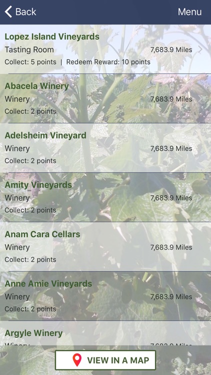 Green Vine Wine Insider