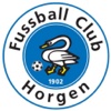 Fussball Club Horgen