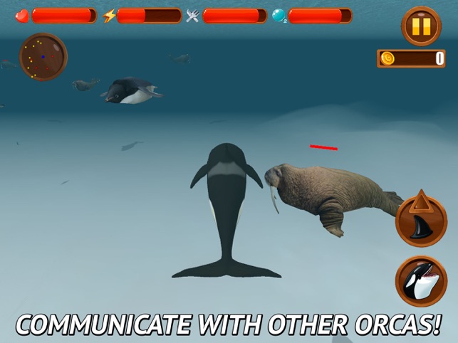 Orca Survival Simulator::Appstore for Android