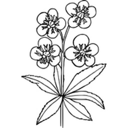 Flower Stickers (Black and White)