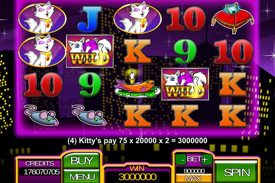 Kitty Gold Slots screenshot 2