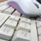 Siempre quisiste aprender lo básico para poderte defender con tu computador