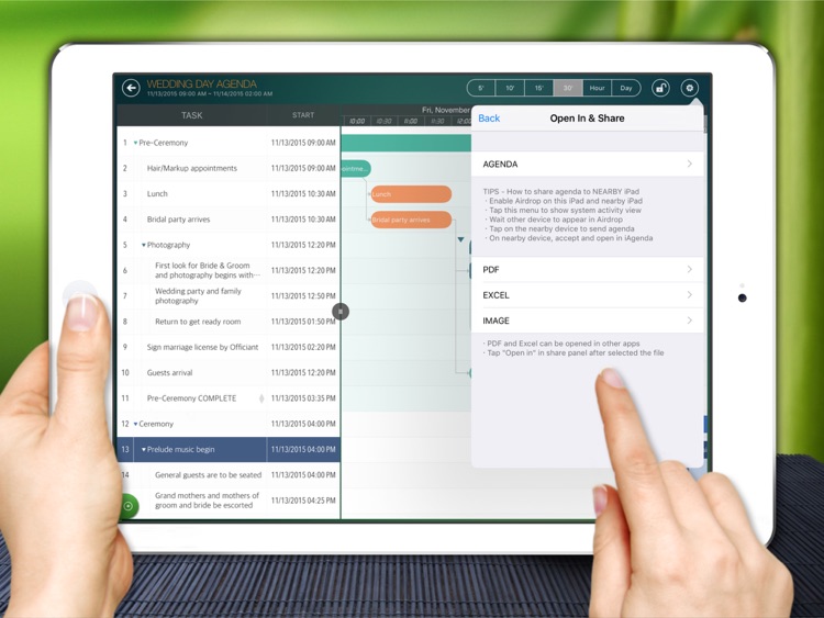 iAgenda - Schedule agenda on Gantt chart screenshot-3