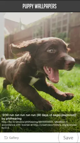 Game screenshot Puppy Wallpapers hack