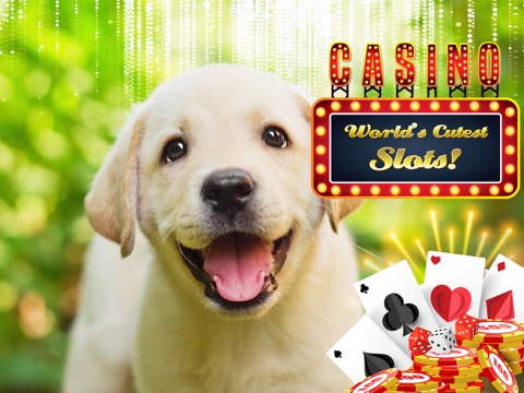 Lucky Pup Wild Casinoのおすすめ画像1