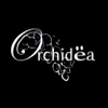 Orchidea