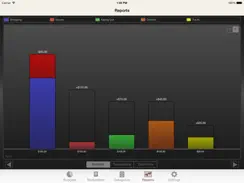 My Budgets iPad image 4