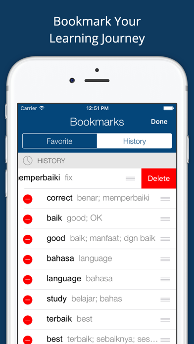 Indonesian English Dictionary+ Screenshot