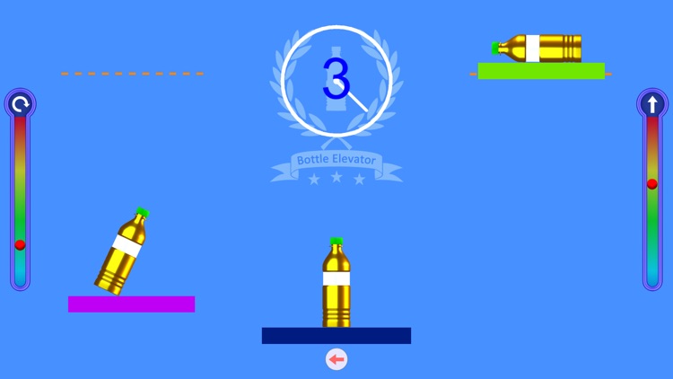 Bottle Flip TOP Challenge!