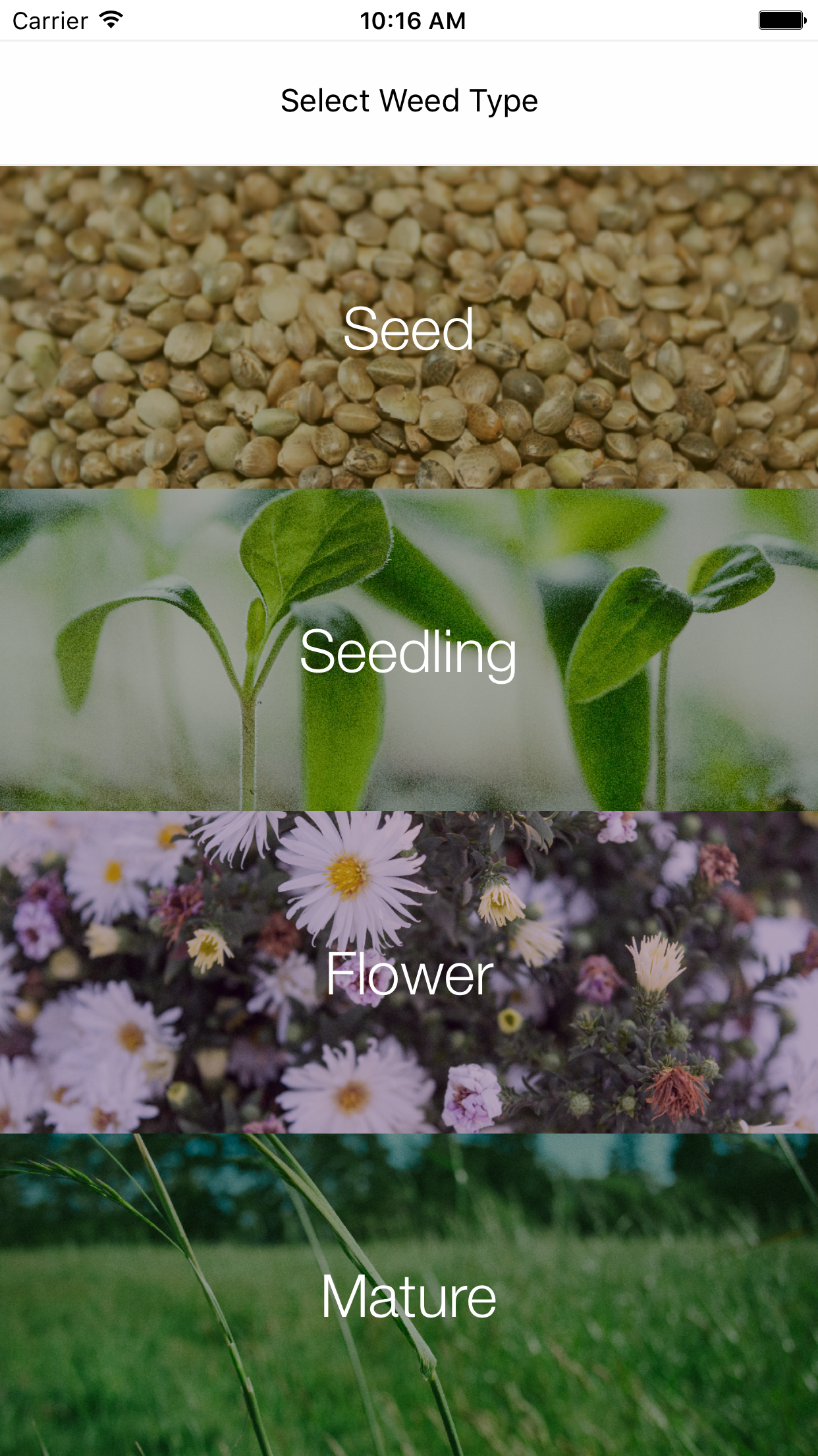 Weed Identifier