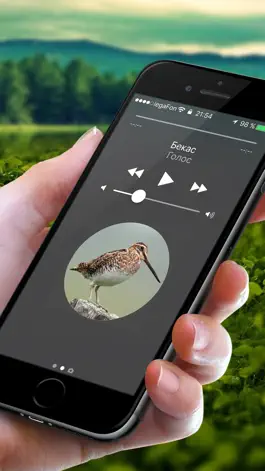Game screenshot Охотничий манок на боровую и луговую птицу mod apk