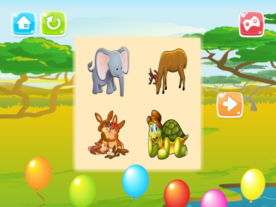 Animals Puzzle - Shadow And Shape Puzzles For Kids iPad screenshot