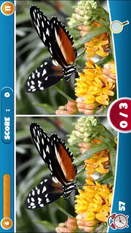 Game screenshot Spot The Difference of Photos apk