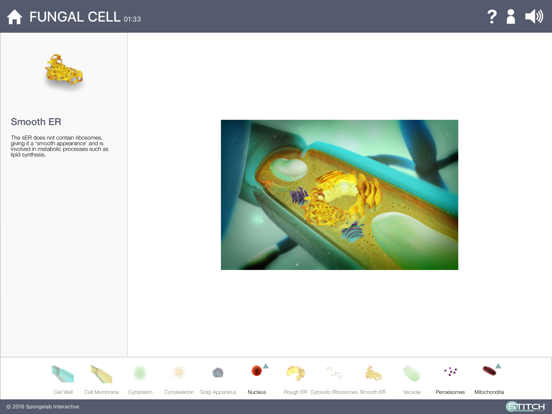 Build a Body: Biology Systems iPad app afbeelding 4