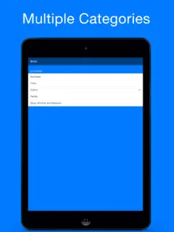 Spanish Games - Learn how to speak flash cards app iPad image 3