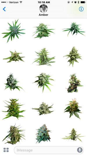 Marijuana Cannabis(圖3)-速報App
