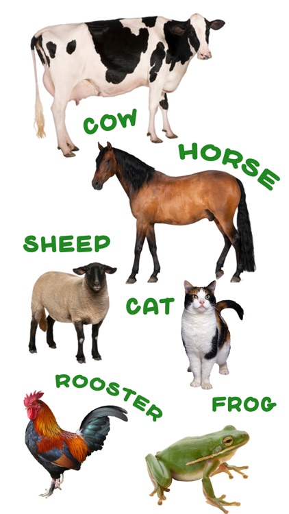 My First Words - Animals Sounds