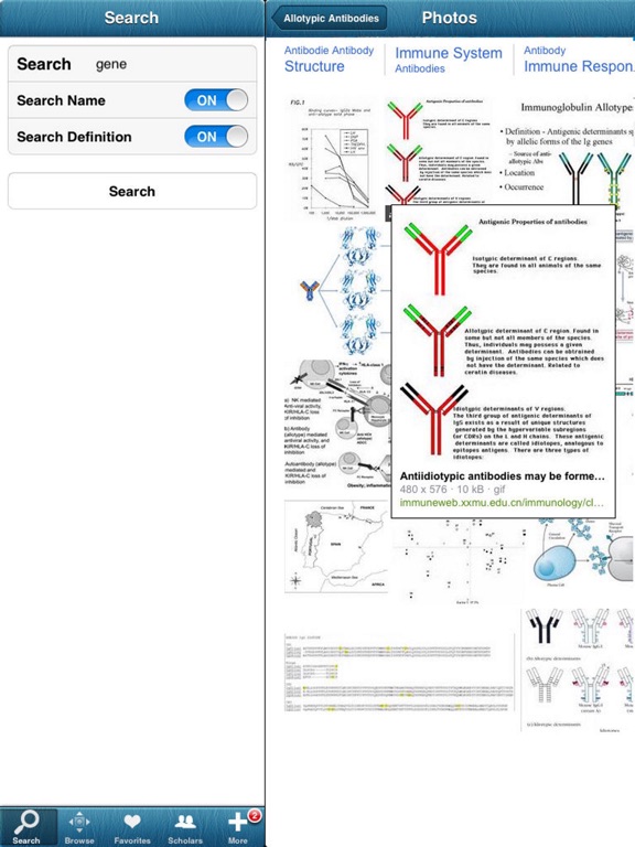 120,000 Medical Dictionary iPad screenshot