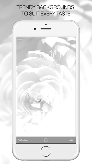 White Backgrounds & White Wallpapers(圖4)-速報App