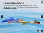 balene si delfini ipad resimleri 4