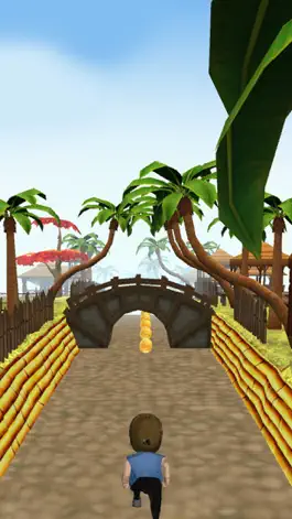 Game screenshot Ninja Run 3D Free hack