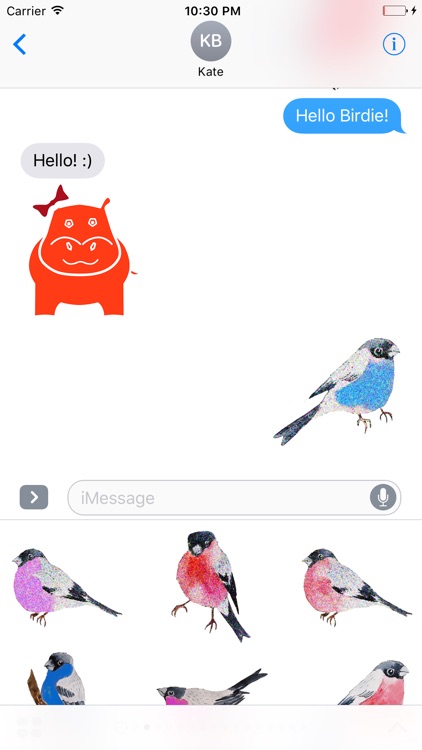 Majestic Birds