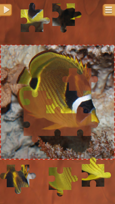 Screenshot #3 pour Poissons Puzzle Jeu - Jeux De Logique