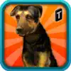 Street Dog Simulator 3D problems & troubleshooting and solutions