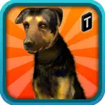 Street Dog Simulator 3D App Support