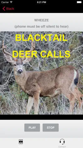Game screenshot Blacktail Deer Calls Sounds mod apk
