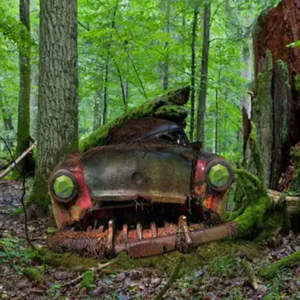 Abandoned Forest Treasure Escape Cheats