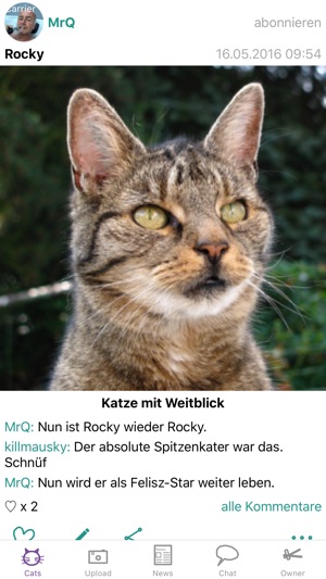 Felisz - Forum für Katzenfotos & Katzenl