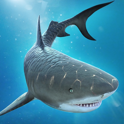 Shark Escape . Hungry Attack Dash Fever Game Icon